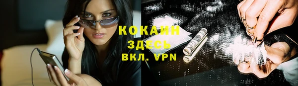 индика Алзамай