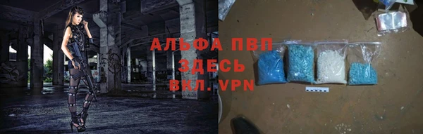 индика Алзамай
