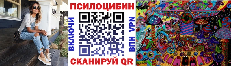 Галлюциногенные грибы Psilocybe  как найти наркотики  Невинномысск 